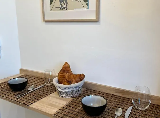 Le Cosy Versaillais Appartement Versailles