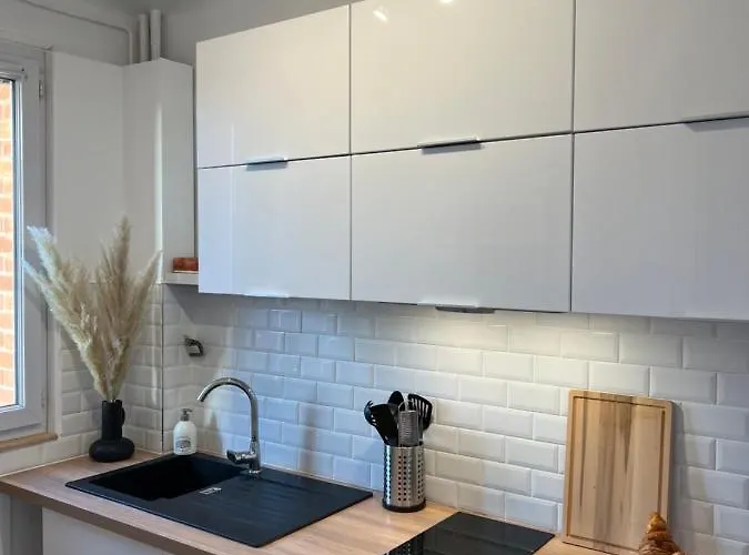 Appartement Le Cosy Versaillais Versailles