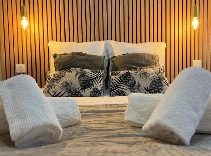 Appartement Le Cosy Versaillais Versailles